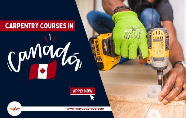 Carpentry Courses in Canada for Indian Students
